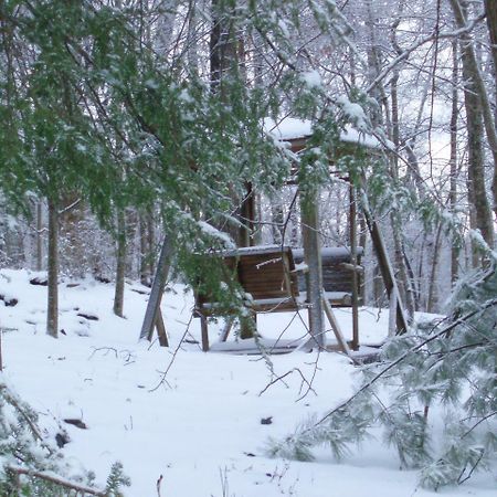 Mountain Top Lodge Далонега Экстерьер фото