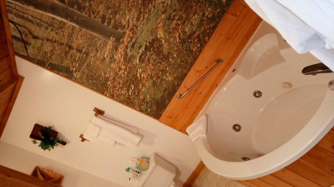 Mountain Top Lodge Далонега Экстерьер фото